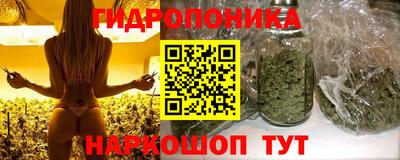твердый Будённовск
